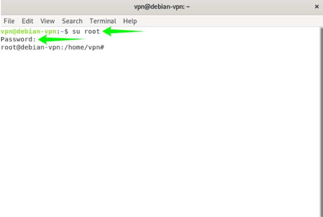 A screenshot of the password screen within Debian OpenVPN setup